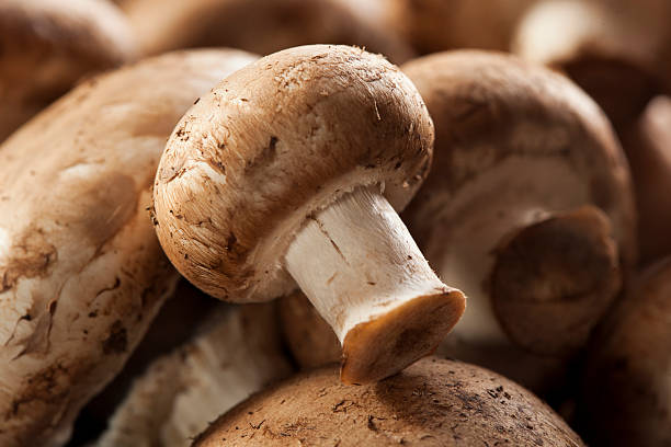 istock Organic Brown Baby Bella Mushrooms 174438103