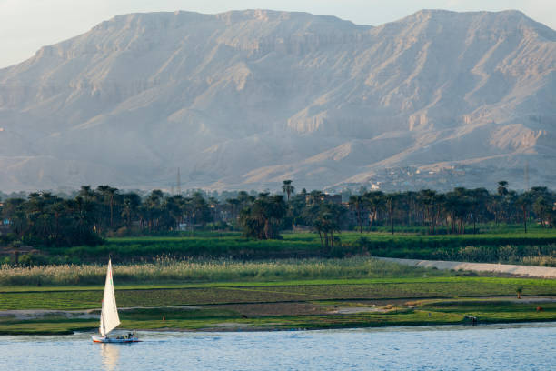 istock Traditional felucca on the Nile river 174441131