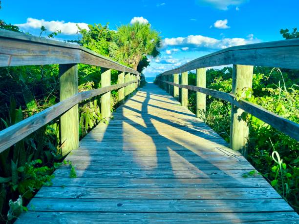istock Wooden boardwalk at dawn towards ocean 1744417786