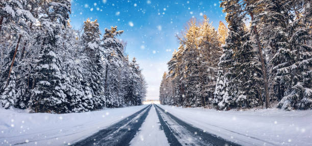istock Beautiful winter road in natural sunny park. 1744434961