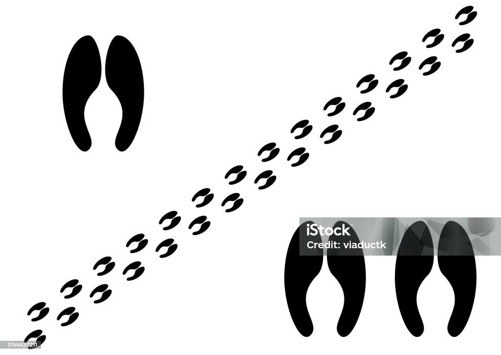 Illustration Set Of Footprints Of Animals Like Giraffes Stock