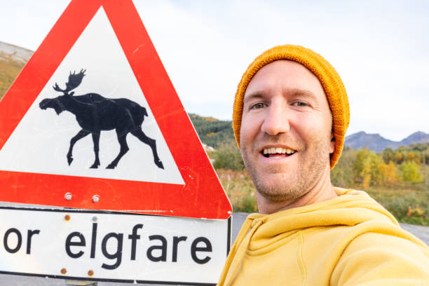 lustiges selfie eines mannes, der mit einem warnschild für die elchkreuzung posiert - moose crossing sign stock-fotos und bilder