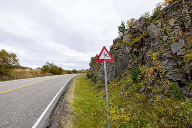istock Cross-country skiing warning sign 1744446195