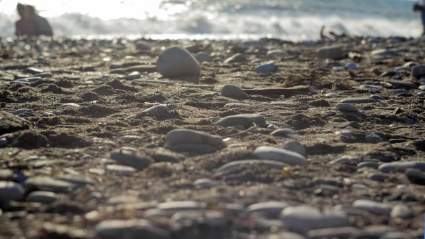 istock Beach with stones, dirty sand and other debris 1744457529