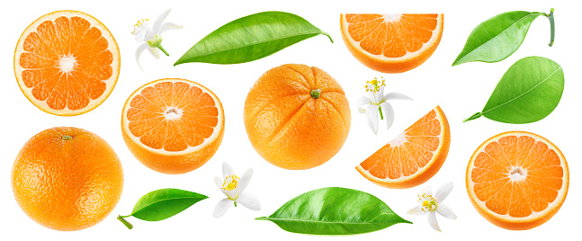 Collection of cut orange fruits, leaves and flowers isolated on white background
