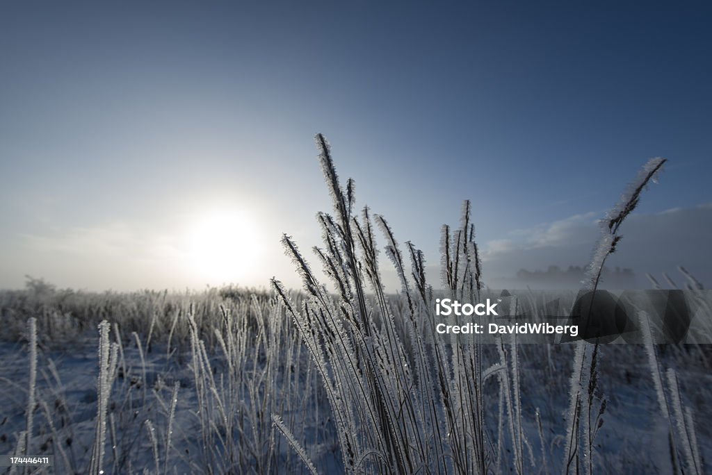 Beau lever de soleil en hiver sur the meadows (XXXL) - Photo de Beauté de la nature libre de droits