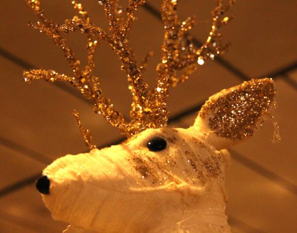 istock Photo of Reindeer 1744467822