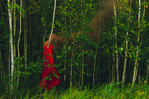 vestido rojo derretido en el bosque photo