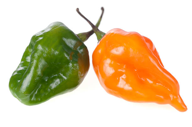istock Habanero chilli peppers on white 174446984