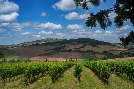 Rural landscape in Tuscany near Pienza, Siena province, Tuscany, Italy