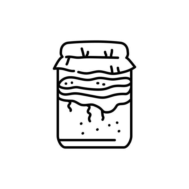 Kombucha homemade tea in jar color line icon. Kombucha homemade tea in jar color line icon. Japanese fermented product. kombucha jar stock illustrations