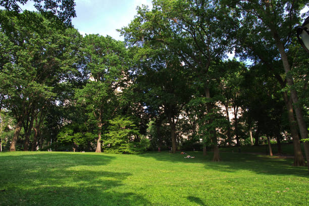 istock New York Central Park, United States 1744511341