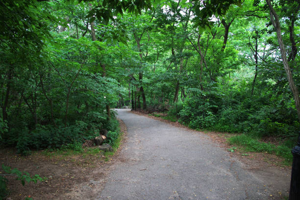 istock New York Central Park, United States 1744511462
