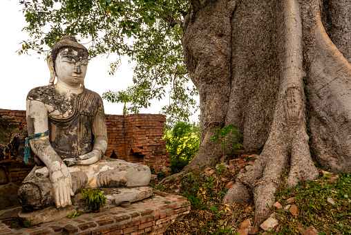 Old white Buddha statue in Inwa, Mandalay Division, Myanmar, Asia