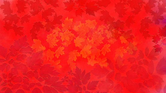 Autumn Leaves on Abstract Watercolor Background