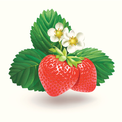 Strawberry berry with green leaf and flower. Eps10. Image contain transparency and various blending modes.
