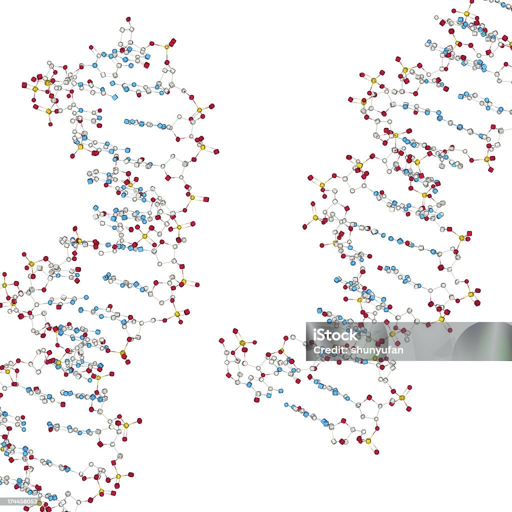 DrugModel ：の DNA - DNAのロイヤリティフリーストックフォト