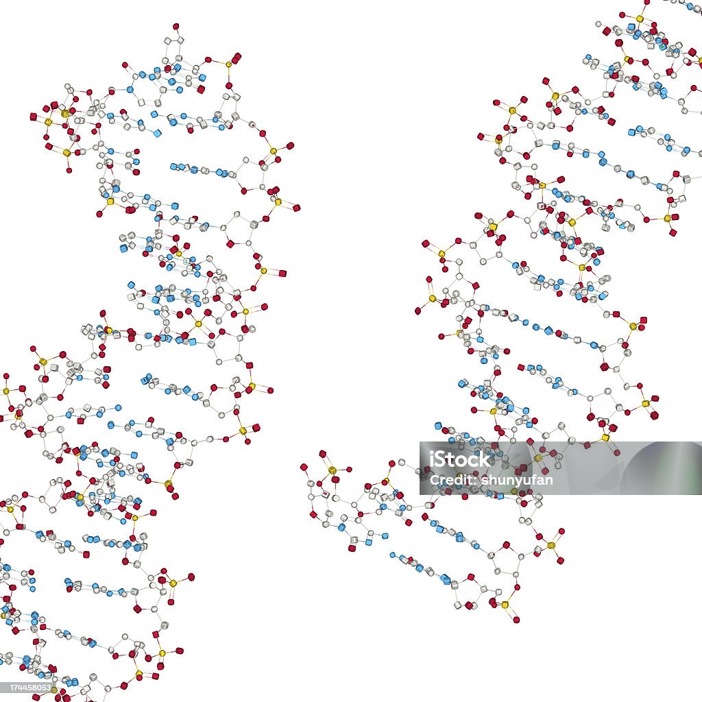 DrugModel:  DNA Molecular model of DNA Biology Stock Photo