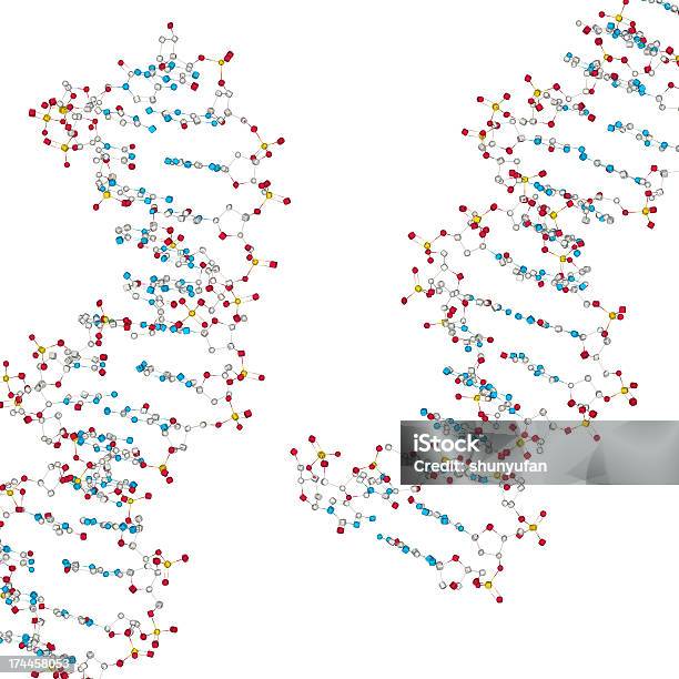 Drugmodel Dna Stock Photo - Download Image Now - Biology, Chemistry, DNA