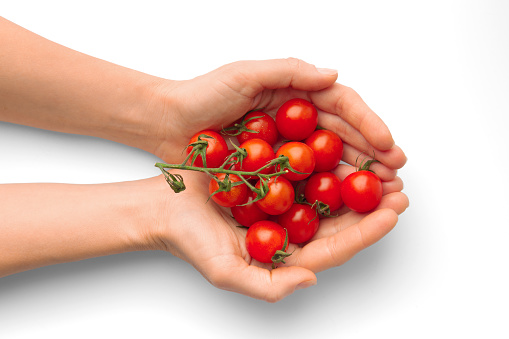 Fresh cherry tomatoes in hands on a white background close-up top view. Organic tomatoes in female palms on isolation. The girl holds a crop of tomatoes in hands.