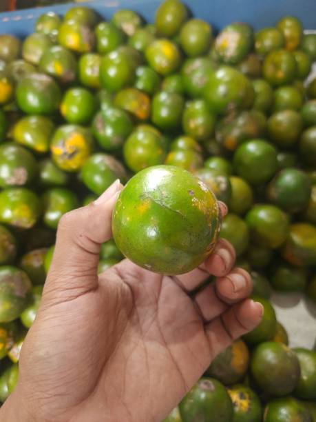 istock hand takes green orange 1744644831