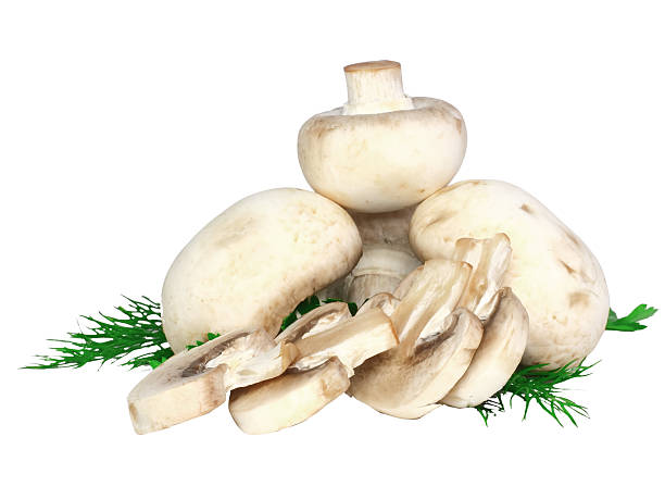 istock Mushroom champignon with green parsley .Isolated 174466694