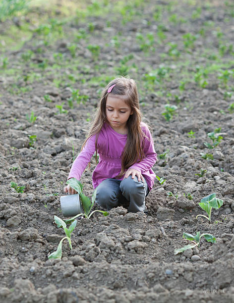 gießen den gemüsegarten - monoculture working busy action stock-fotos und bilder