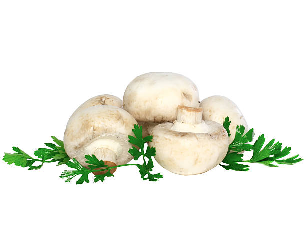 istock Mushroom champignon with green parsley .Isolated 174468151