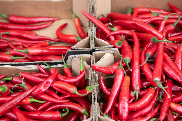 istock Red chilli peppers in cardboard crates 1744691949