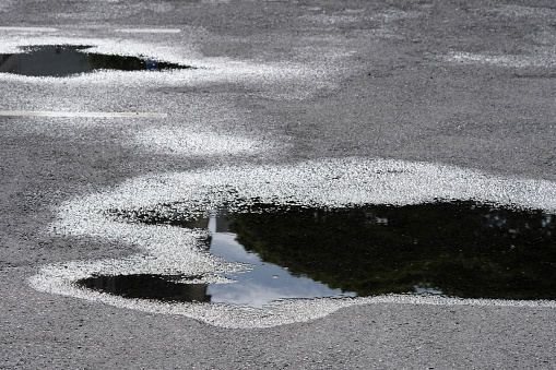 street reflections from a rain puddle