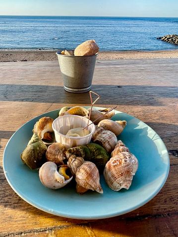 Plate of whelks by the Atlantic Ocean in the South of France