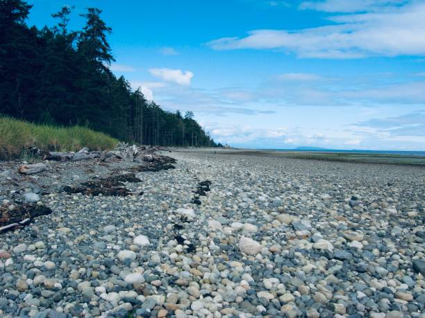 Rathtrevor Beach Provincial Park