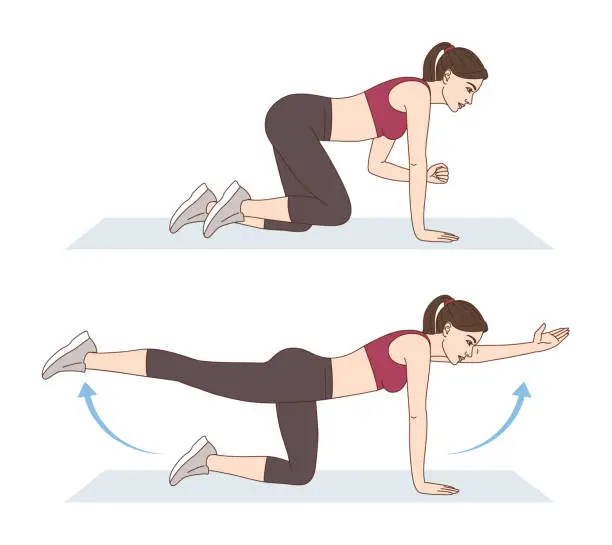Vector illustration of A woman is doing sports exercises. Bird dog exercise. Workout for the buttocks, lumbar and hips. Fitness for weight loss.