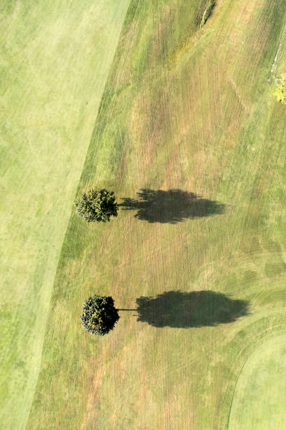 istock View of trees shadow aerial shot 1744720011