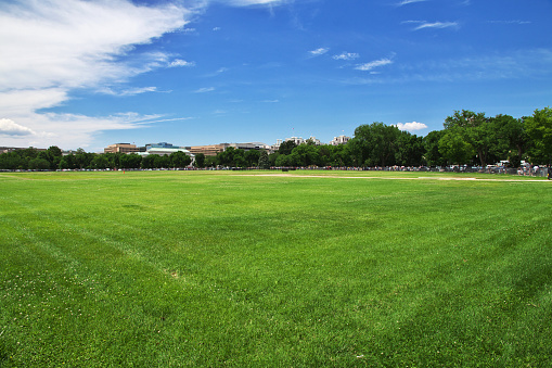 The park in Washington, USA