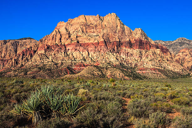 istock Red Rock Canyon Conservation Area 174472230