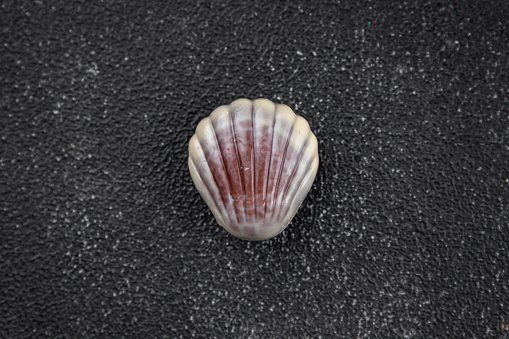 Shell with a Glass Pearl