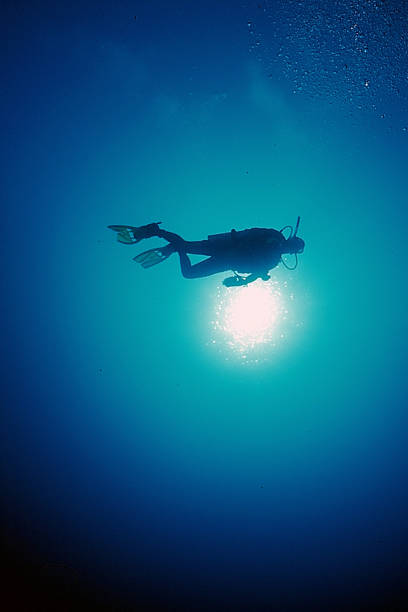 istock a diver backlit in the Caribbean Sea 1744742308