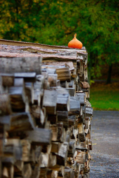A small orange pumpkin on top of a woodpile outdoors in autumn.