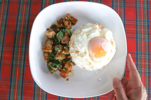 stir fried pork with basil and rice , sunny side up egg or stir fried bacon with basil or Thai food