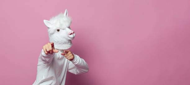 istock Llama person pointing finger against pink studio wall banner background 1744748380