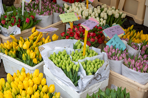 Flower stall in an outdoor market in Amsterdam
