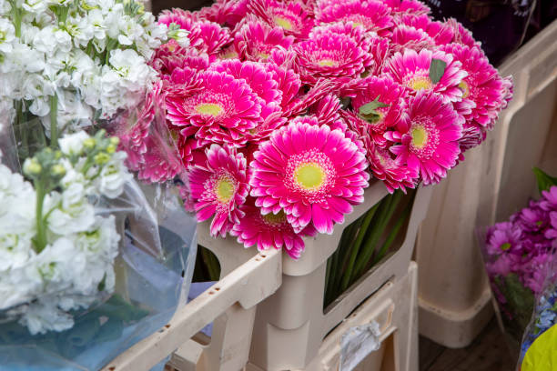 Flower stall in an outdoor market in Amsterdam
