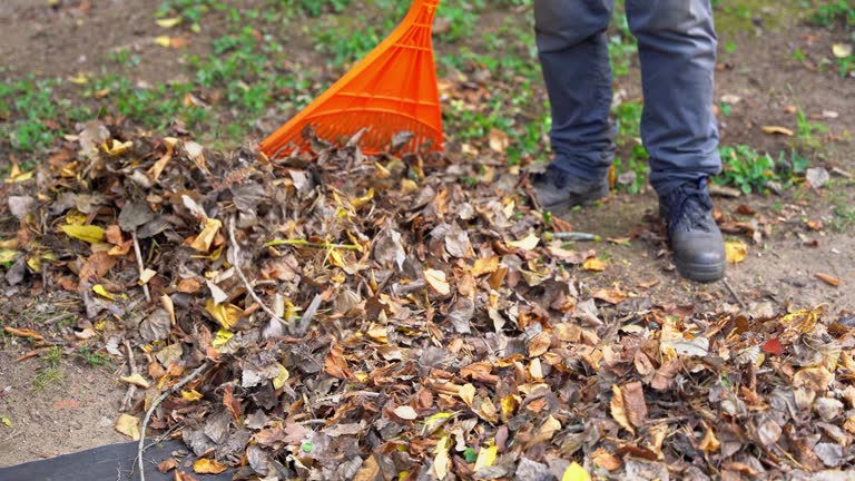 cleaning of fallen autumn leaves. Autumn