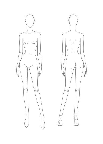 szkic kobiecego ciała. modelka dziewczyny. widok z przodu i z tyłu. szablon kobiecego ciała do rysowania ubrań. możesz drukować i rysować bezpośrednio na miniaturach. ilustracja mody. - thumbnails stock illustrations