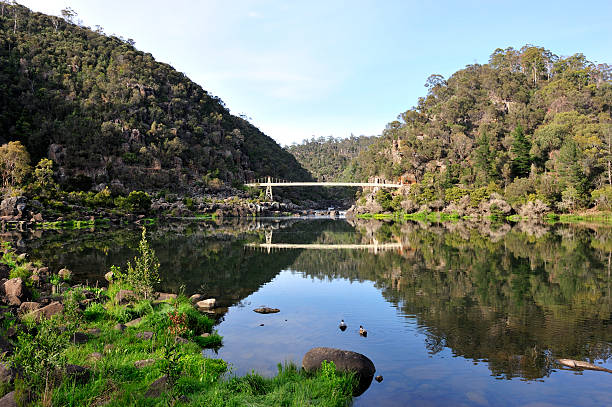 cataract gorge "cataract gorge in Launceston, Tasmania, AustraliaRelated Images:" launceston tasmania stock pictures, royalty-free photos & images