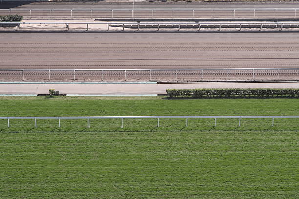 istock Horse Racing Track 174477338