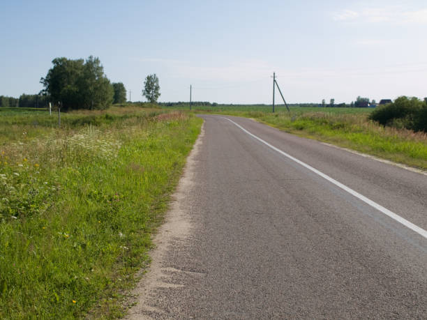 istock Old highway in forests of Europe 174477360