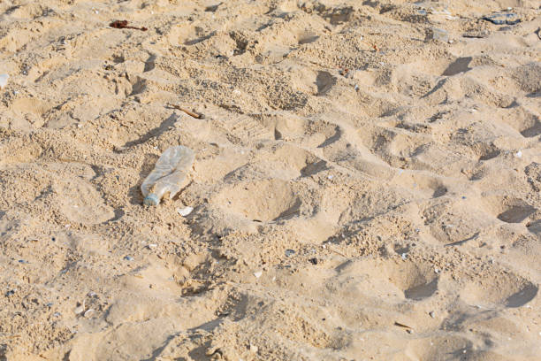 istock Plastic bottles thrown on the beach except copy area Love the environment and recycling concept 1744773945