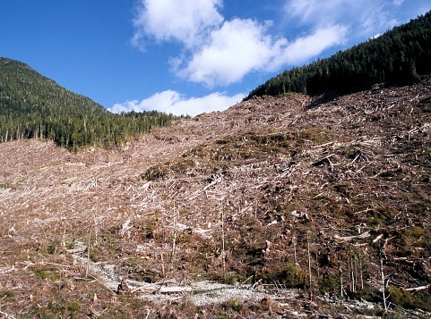 View of clear cut from Vancouver Island.